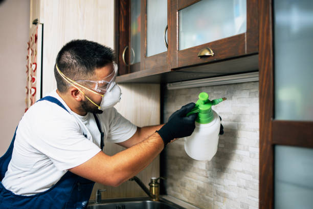 Best Bed Bug Extermination  in Fulton, IL