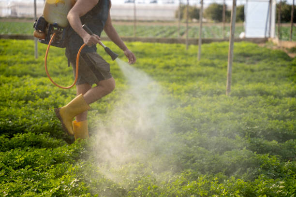 Best Best Pest Control Companies  in Fulton, IL